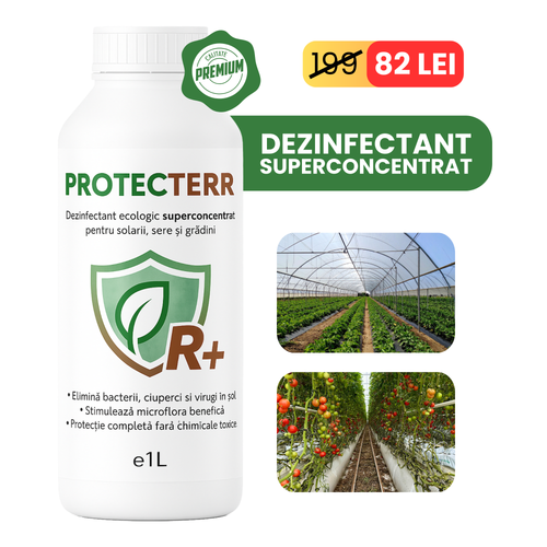 Protecterr - Dezinfectant BIO pentru sere, solari și grădini | 1L