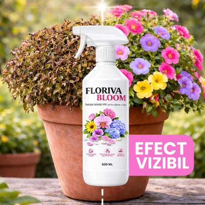 Floriva Bloom - Îngrășământ Bio pentru Plante cu Flori, Tratament pentru rădăcini și frunze
